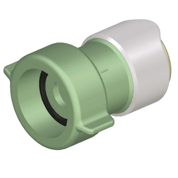 WHALE adapteris, dydis 3/4" BSP moteriškas